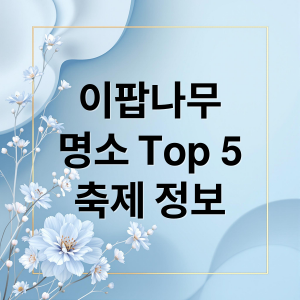 국내 최고 이팝나무 명소 5곳과 축제 정보 총정리 thumbnail_1747960161072_buxg4m64xj