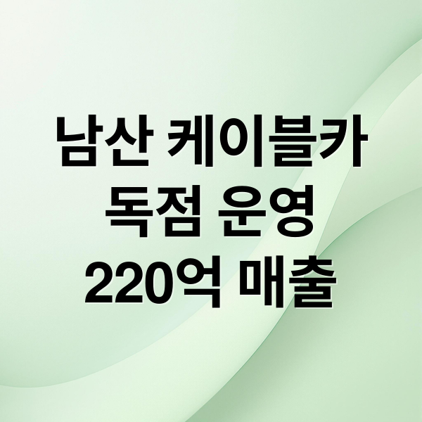 남산 케이블카 63년 독점의 비밀: 연매출 220억 재조명 5