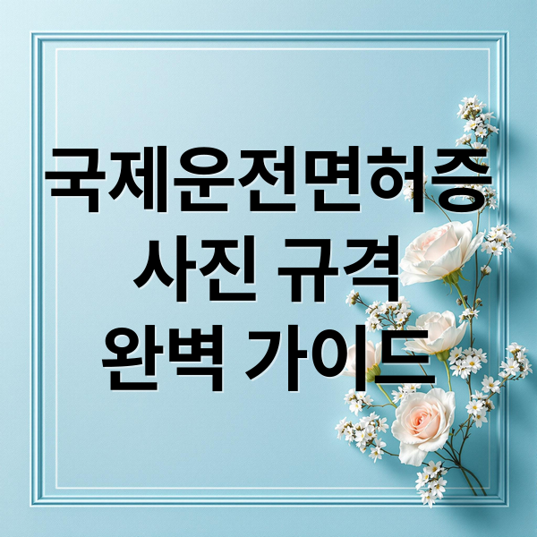 국제운전면허증 & 여권 사진 완벽 준비: 발급 절차부터 규격까지 4