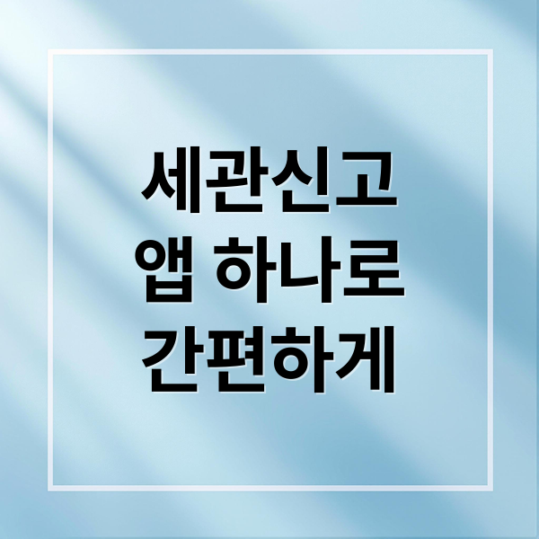 여행자 세관신고 앱: 면세 한도, 자진신고 꿀팁 완벽 정리 2