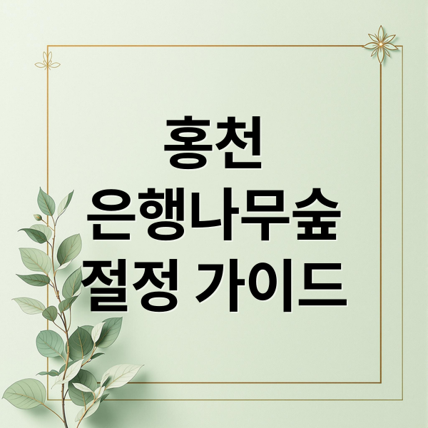 홍천 은행나무숲 완벽 가이드: 절정 시기, 포토존, 숨겨진 꿀팁 A to Z 3