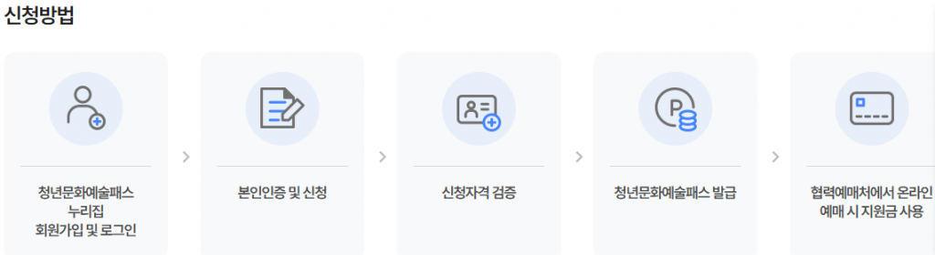 청년문화비 지원금 신청 오류 해결방법 및 100% 지급 가이드 3