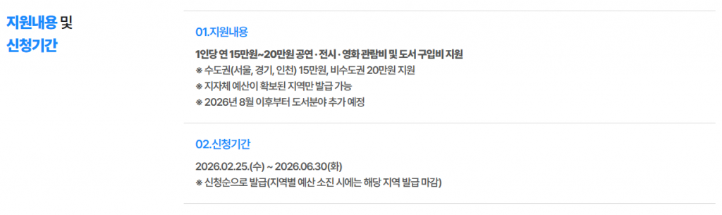 청년문화비 지원금 신청 오류 해결방법 및 100% 지급 가이드 2